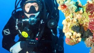 Tauchschein “Open Water Diver“ - Let's Dive Gronau